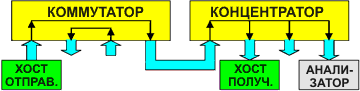 Концентратор + коммутатор